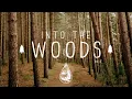 Download Lagu Into The Woods 🌲 - A Mysterious Indie/Folk/Pop Playlist | Vol. 2