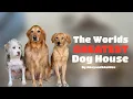 Download Lagu Building The Worlds FANCIEST Doghouse!