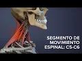 Segmento de Movimiento Espinal C5-C6