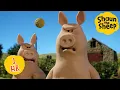 Download Lagu The Flock vs The Pigs 🏏 | Shaun the Sheep 1 HOUR Compilation | Shaun the Sheep \u0026 Friends