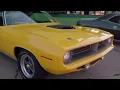 Cruis n Media showing off some of the best vehicles