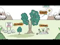 Download Lagu HOPE Introduction Whiteboard Video
