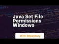 java set file permissions windows