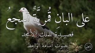 على البان ق مري ة تسجع قصيدة للملك الأمجد مع شرح مبسط بصوت أسامة الواعظ 