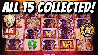 Download 15 GOLD HEADS AGAIN - Huge Jackpot For The Buffalo King MP3