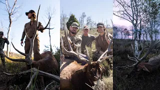 Utah Elk Hunting - Three bulls in two days
