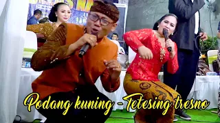 sragenan podang kuning tetesing tresno voc yati u0026 gini campursari jelas nada