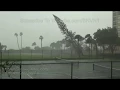 Trees Falling Compilation No Music