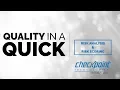 Quality In a Quick Risk Analysis and Risk Scoring