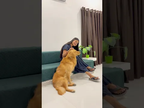 পুজোর আগে Sofa cover কিনে নিলাম