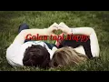 Download Lagu VIRAL HAPPY ASMARA GAUN MERAH