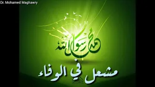 مصطفى مصطفى   محمد مغاوري دندنها