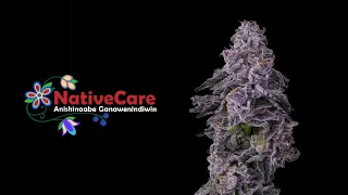 NativeCare - Minnesota s Finest Cannabis