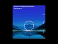 Pig&Dan and Gregor Tresher ‎– The Moonbreaker