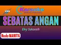 Download Lagu Elvy Sukaesih, SEBATAS ANGAN KARAOKE [ Nada Wanita ]