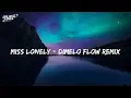 Miss Lonely - Dimelo Flow Remix (Lyrics) - Sech