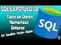 SQL Capitulo 18 Tipo de Datos Int SmallInt TinyInt BigInt