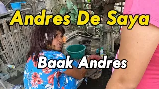 Download Andres De Saya - Baak Andres MP3
