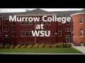 Tutorial 1 WSU