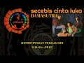 Download Lagu DAMASUTRA - secebis cinta luka (lirik)