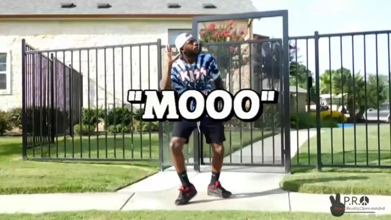 Teezo Touchdown- Moo (Dojo Cat Remix) @Prota_J650