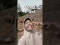dimakan biawak versi blue bird🗿