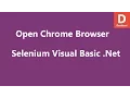 Selenium Visual Basic Net Open Chrome Browser
