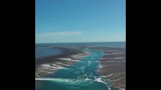 Montgomery Reef Highlights