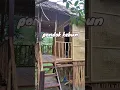 Lagu Bangun pondok kebun 3x3m cantik di belakang rumah mamah nada 🥰 #BalikpapanSudah #NgeShortsBareng