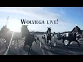 Download Lagu Wolvega Live! | Uitzending (integraal) van 11/01/2025 MP3