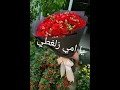 يا أمي زلغطي اليلي فرحتي