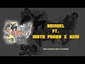 Download Lagu BRINDEL - FT BIJWERKINGEN VOOR PANDA-OGEN, S2M