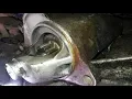 How to Replace the STARTER on a 99 Ford Explorer - Best Tutorial