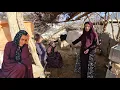 Download Lagu From Homelessness to Hope: One Mother's Inspiring Journey of Survival