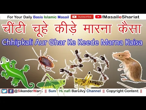चींटी खटमल छिपकली चूहे मरना कैसा | घर के कीड़े मकोड़े मरना कैसा | Chinti Chuhe cockroach Marna Kaisa