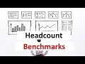 Benchmarks for Headcount Workforce Optimization consulting projects