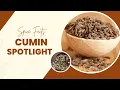 Spice Spotlight Cumin Spicing up Your Kitchen