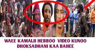 Oddu Amaa Waee Kamali Hebbo Fi Jaal Marroo Wani Inii Jedhuu Kunoo 