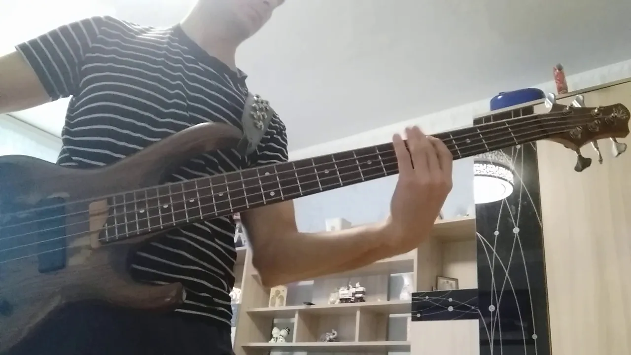 Nothing but thieves-sorry bass cover