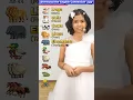 Animal Names and Their Sounds Spoken English Words Adi English Connection