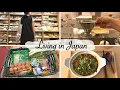 Download Lagu shopping for small kitchen gadgets, grocery shopping , Mala noodle for one | japan vlog