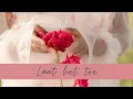 Download Lagu Tweelingzielen tarot reading | Laat het toe