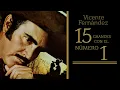Vicente Fernández - Lo Que No Fue No Será (Tema Remasterizado) [Cover Audio]