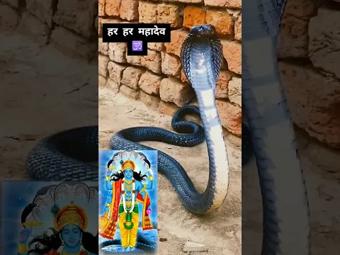 शिव जी का चमत्कारी शॉप bholenath ka video stats #motivation #shiv