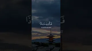 هذا خلق الله فأروني ماذا خلق الذين من دونه   تحدي إلهي بصوت ياسر الدوسري دندنها