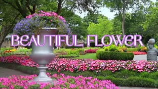 relaxtion with film calming music studying music 4k ultra hd 4kvideos 4kvideosultrahd relaxing
