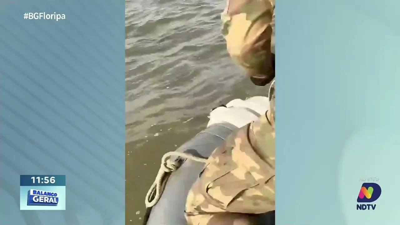 Polícia Ambiental resgata golfinho preso na rede de pesca na Baía Sul