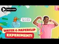 Download Lagu Sink or Float : A Paper Clip and Water Experiment | DJ's Circle