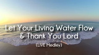 vinesong let your living water flow thank you lord original version w lyrics 