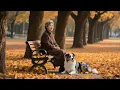 Download Lagu Silent Love Songs  - Best Song Ever - 無聲的情歌  💖  Most Romantic 💖 Top Love Songs 2025
